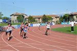 Cadita-3001.jpg