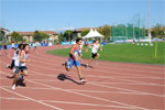 Cadita-3002.jpg