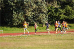 Close-0168.jpg