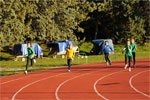 Close-0261.jpg