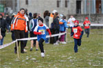 Cormor-0328.jpg