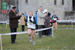 Cormor-0409.jpg
