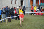 Cormor-0611.jpg
