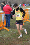 Cormor-0633.jpg