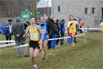 Cormor-0801.jpg