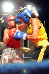 Eurobox-0020.jpg