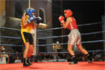 Eurobox-0021.jpg