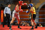Eurobox-0025.jpg