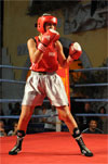 Eurobox-0026.jpg