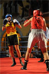 Eurobox-0032.jpg