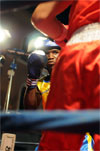Eurobox-0066.jpg