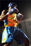Eurobox-0068.jpg