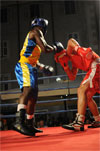 Eurobox-0074.jpg