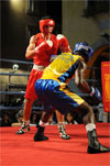 Eurobox-0085.jpg