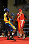Eurobox-0086.jpg