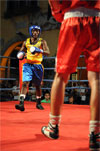 Eurobox-0088.jpg