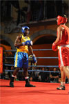 Eurobox-0089.jpg