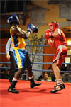Eurobox-0094.jpg
