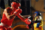 Eurobox-0095.jpg