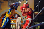 Eurobox-0098.jpg