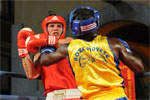 Eurobox-0100.jpg