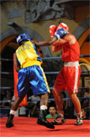 Eurobox-0101.jpg