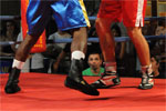 Eurobox-0102.jpg