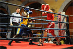 Eurobox-0114.jpg