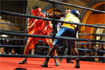 Eurobox-0117.jpg
