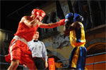 Eurobox-0121.jpg