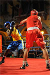 Eurobox-0123.jpg
