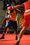 Eurobox-0124.jpg