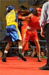 Eurobox-0128.jpg