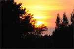 Close-0286.jpg