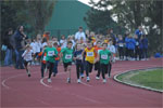 Close-0292.jpg