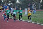 Close-0294.jpg