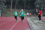 Close-0299.jpg