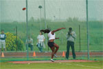Juncao-0066.jpg