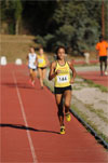 Trive-0201.jpg