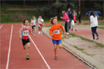 Chius-0341.jpg