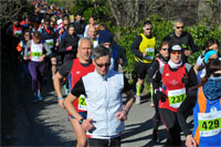 Nostop-0107.jpg