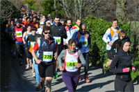Nostop-0111.jpg