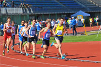 Jesolo2-0071.jpg