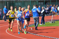 Jesolo2-0096.jpg
