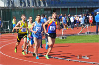 Jesolo2-0097.jpg
