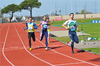 Jesolo2-0284.jpg