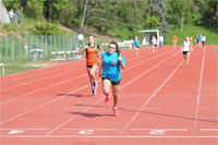 Staffets-0006.jpg