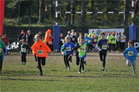 Carsocross-0416.jpg