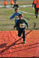 Carsocross-0442.jpg