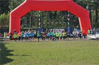 Carsocross-0445.jpg